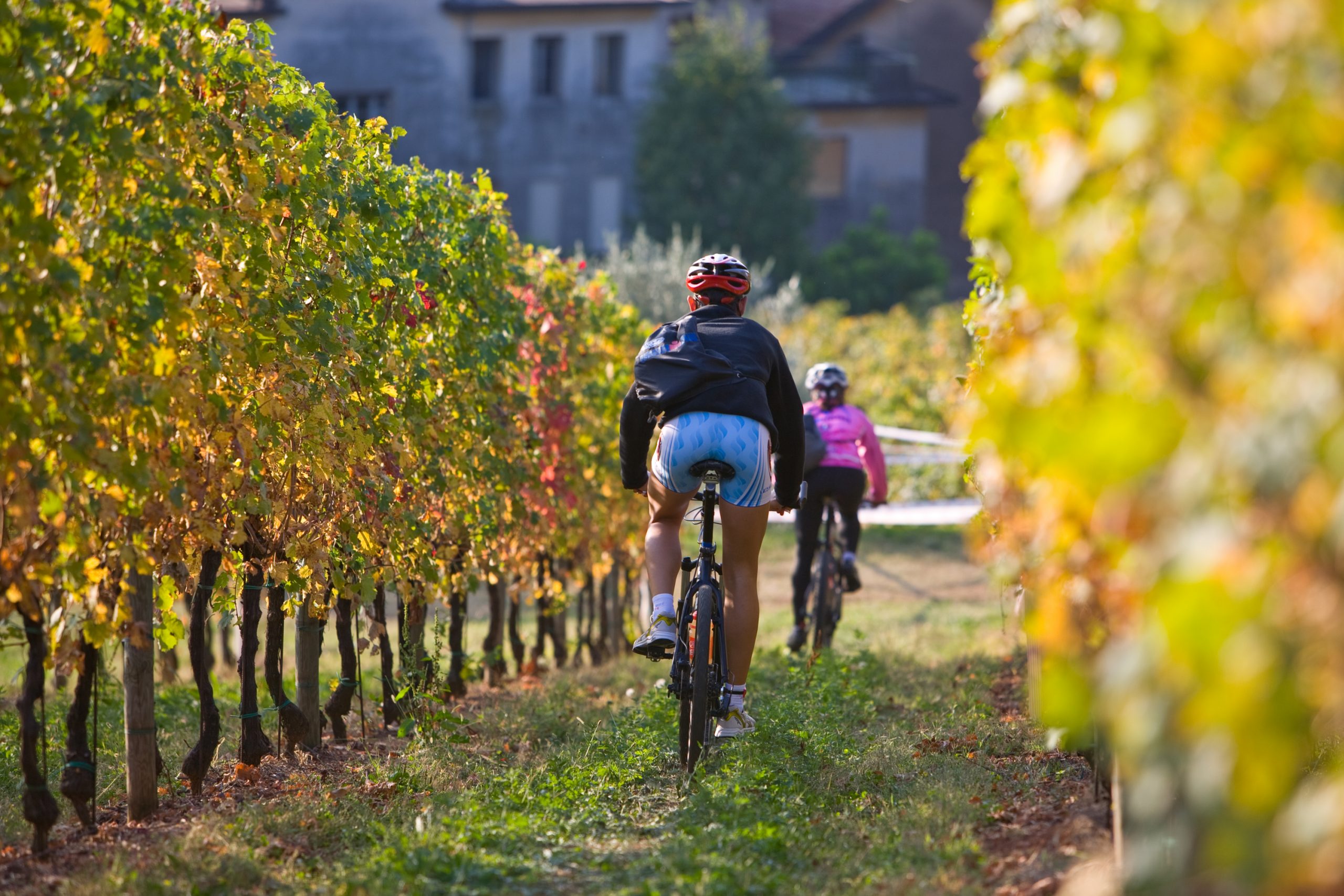 bike tour prosecco